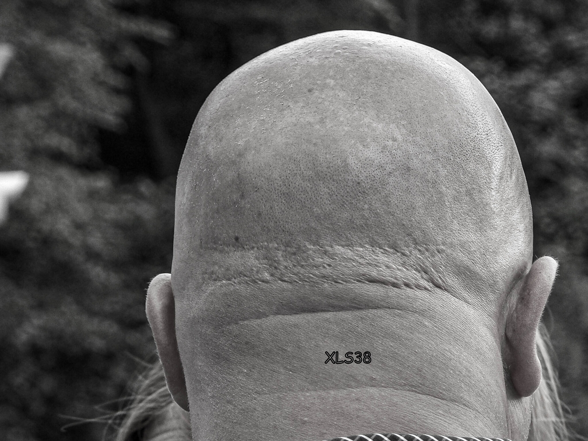 Tatoo